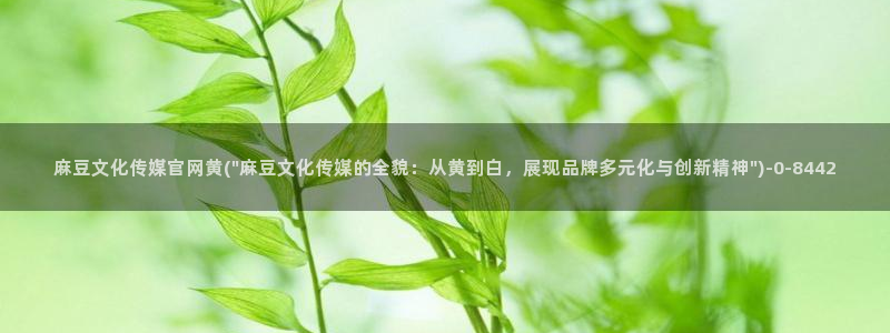 麻豆tv映画传媒官网：麻豆文化传媒官网黄(\