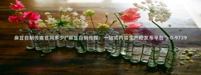 麻豆传媒国产剧情官网：麻豆自制传媒官网多少(\
