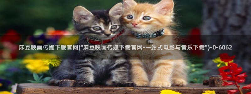 麻豆文化传媒 官网：麻豆映画传媒下载官网(\