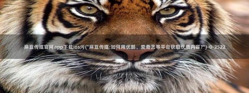 麻豆传媒官网版下载：麻豆传媒官网app下载ios污(\