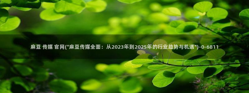 麻豆传媒影院官网：麻豆 传媒 官网(\