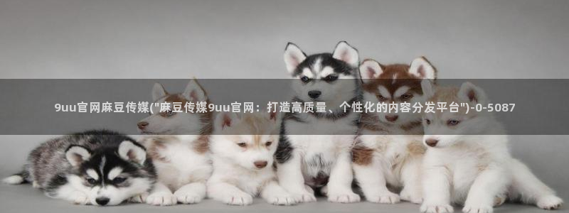 免费麻豆传媒官网：9uu官网麻豆传媒(\