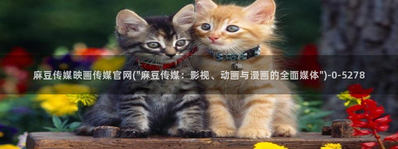 麻豆床传媒官网入口：麻豆传媒映画传媒官网(\
