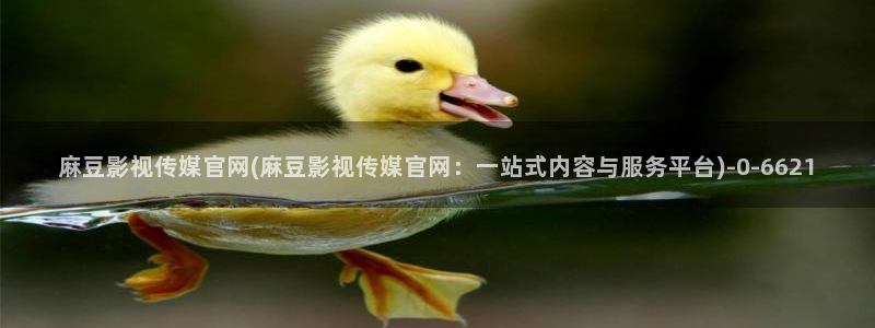 麻豆传媒官网18：麻豆影视传媒官网(麻豆影视传媒官网：一站式内容与服务平台)