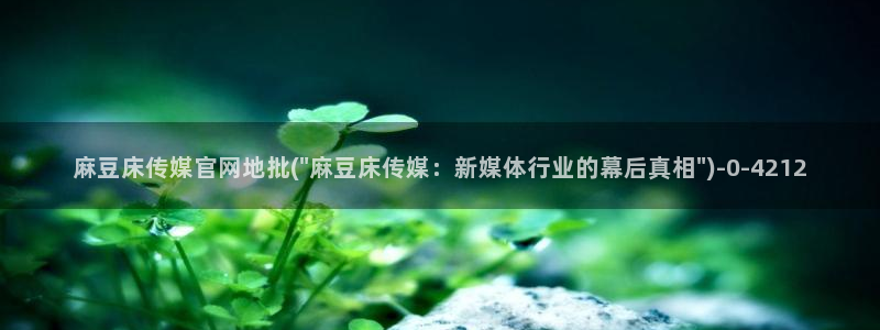 麻豆传媒官网电脑版：麻豆床传媒官网地批(\