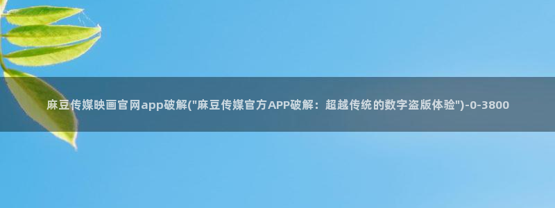 麻豆自制传媒 官网