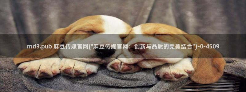 麻豆传媒印画官网：md3.pub 麻豆传媒官网(\