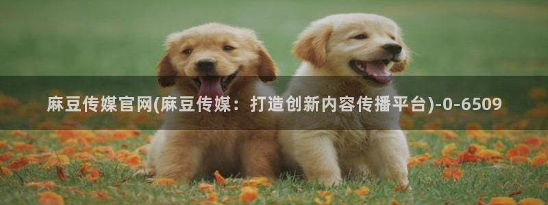 麻豆影视传媒官网入：麻豆传媒官网(麻豆传媒：打造创新内容传播平台)
