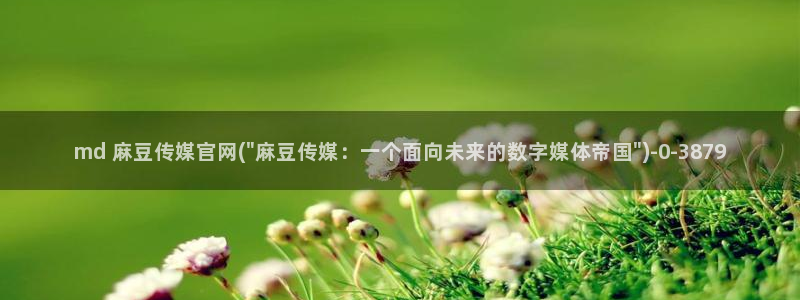 麻豆传媒印象官网