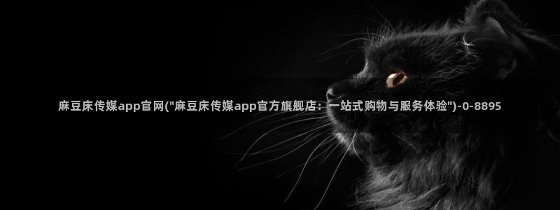 麻豆i传媒官网