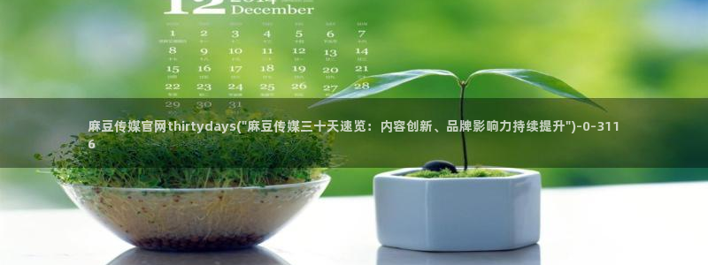 麻豆传媒官网花絮