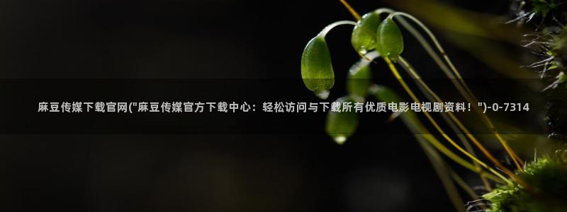 91麻豆传媒app官网