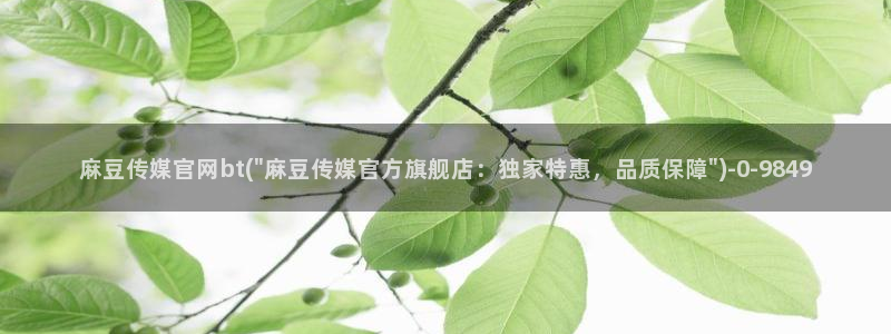 麻豆传媒直播官网 视频