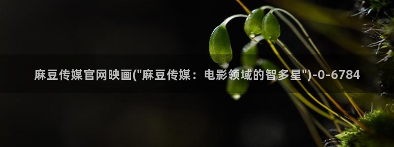 麻豆 传媒官网进入