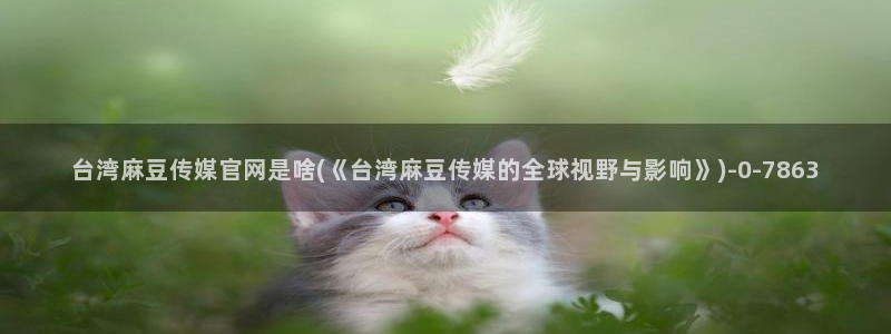 mdlpud 麻豆传媒官网：台湾麻豆传媒官网是啥(《台湾麻豆传媒的全球视野与影响》)