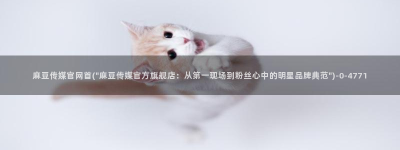 麻豆传媒官网地址