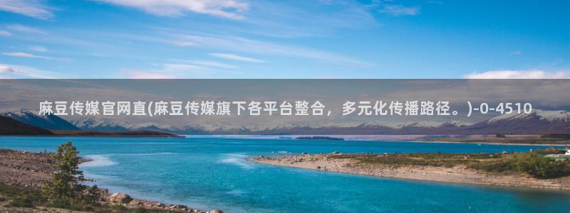 麻豆啊传媒官网