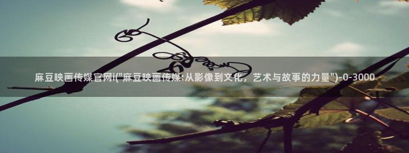 麻豆传媒官网首