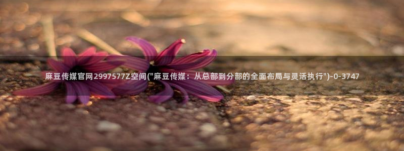 麻豆床传媒官网浸入